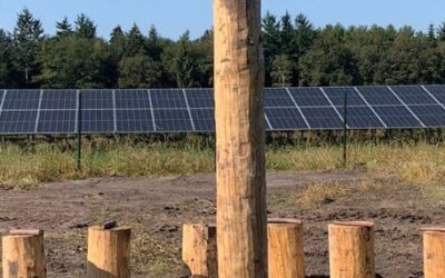 We gaan bomen en struiken planten!